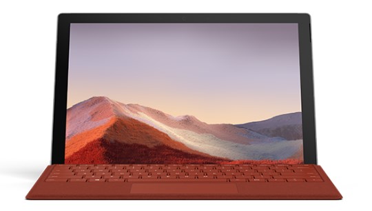 王下乡清洁和维护 Surface